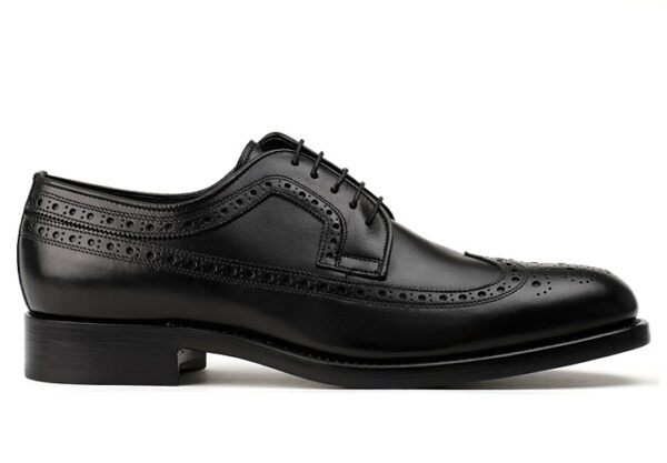 userfile_145_96_1_1366036422 Longwing