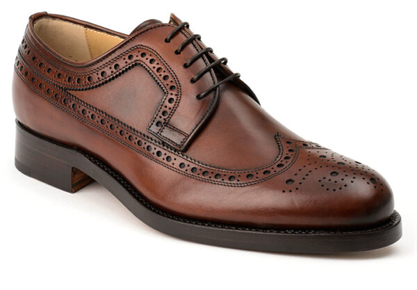 userfile_145_97_1_1366036351 Longwing