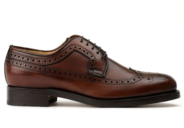 userfile_145_97_1_1366036366 Longwing