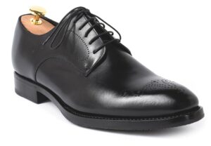 userfile_220_96_1_1536572088 Derby Lyra